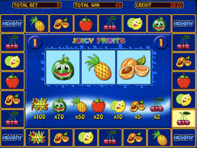 игровые автоматы EMU Casino 100 руб