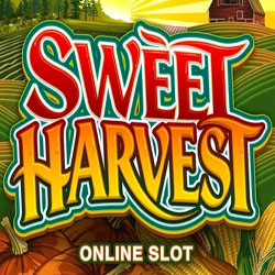 Компания Microgaming выпустила новый игровой автомат Sweet Harvest